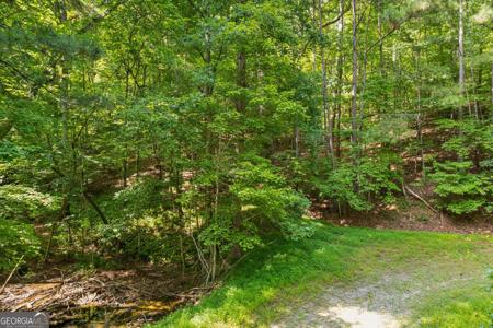 Lot 482 Noah Court, Ellijay GA 30540