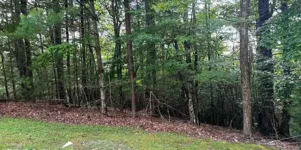 Lot 40 Double Knobs, Hayesville NC 28904