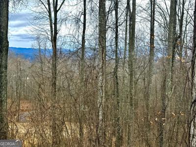 Lot 7 Rocky Knob Drive # 7, Young Harris GA 30582