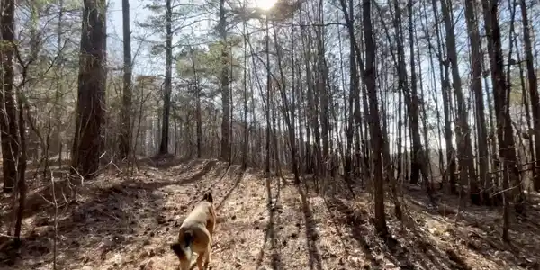 Lot 2, Ranger GA 30734 2 WEST Dry Pond Road