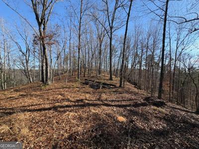 Lot 117 Lawrence Road, Dawsonville GA 30534