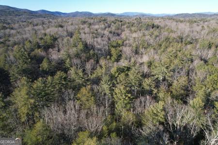 1 Old Miller Rock, Ellijay GA 30540