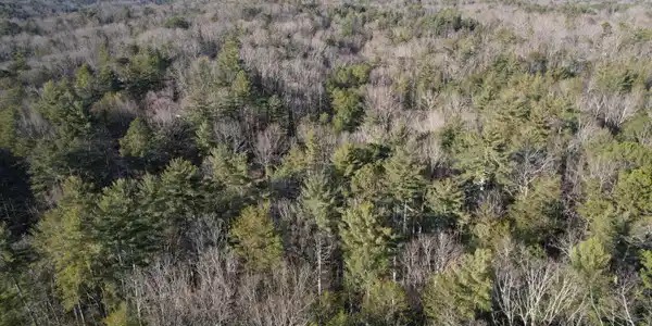 1 Old Miller Rock, Ellijay GA 30540