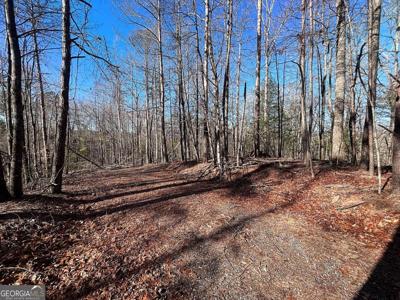 Lot 3245 Miramar Drive, Ellijay GA 30540