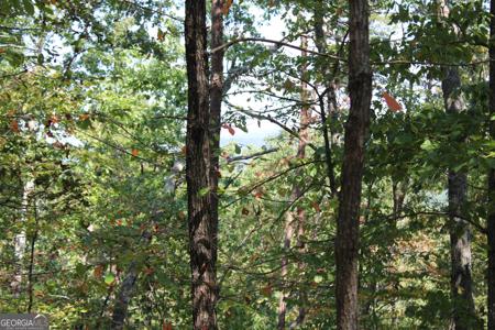 Conniston Road, Chatsworth GA 30705