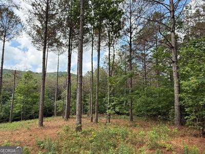 Lot 9 Eastview Trail, Ellijay GA 30536