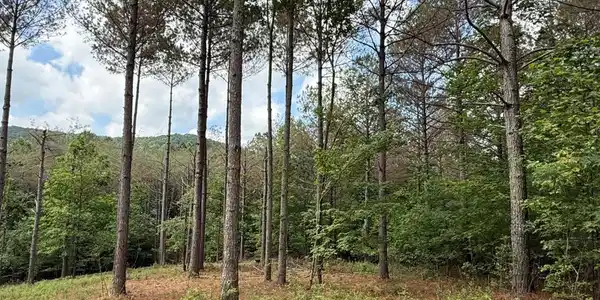 Lot 9 Eastview Trail, Ellijay GA 30536