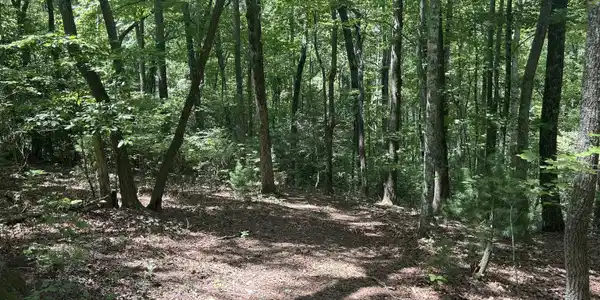 22.5 AC Hwy 2 # 6, Blue Ridge GA 30513