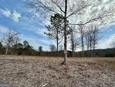 21 Arbor Creek Trail, Mineral Bluff GA 30559
