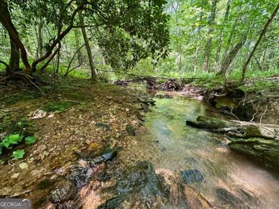 1A Patriot View Drive, Dahlonega GA 30533