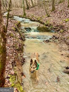 Lot 1, Dallas GA 30132 Narroway Church Circle