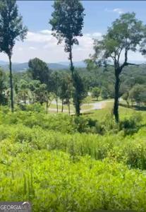 Lot 16, (PARCEL Big Valley Drive, Morganton GA 30560