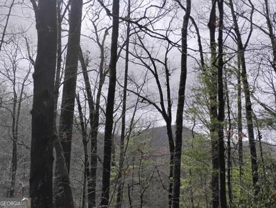 Lot #289 Cobblewood Trail, Sky Valley GA 30537