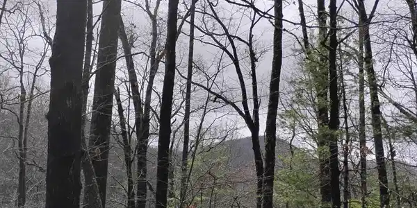 Lot #289 Cobblewood Trail, Sky Valley GA 30537