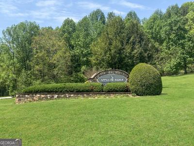 133 Lakeview Walk, Baldwin GA 30511