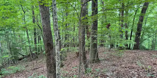 Lot 23 Black Bear Den Road, Clayton GA 30525