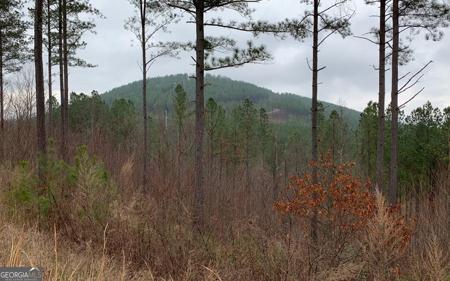Lot 59 Ridge Peak View, Blairsville GA 30512