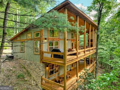 55 Skyline Drive, Blue Ridge GA 30513