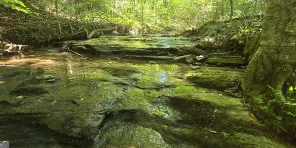 1 Outback Road, Talking Rock GA 30175