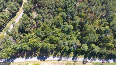 245 Pinnacle Drive, Ellijay GA 30540