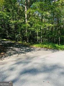 220 Maxwell Mountain Road, Blue Ridge GA 30513