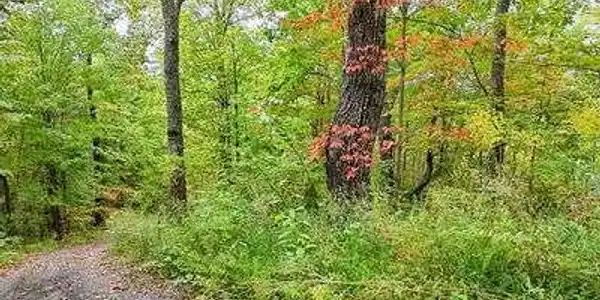 Lot 23 Skyview Overlook, Hayesville NC 28904