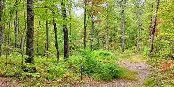 Lot 30 Skyview Drive, Hayesville NC 28904