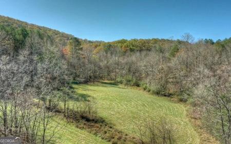 Loving Road, Blairsville GA 30512