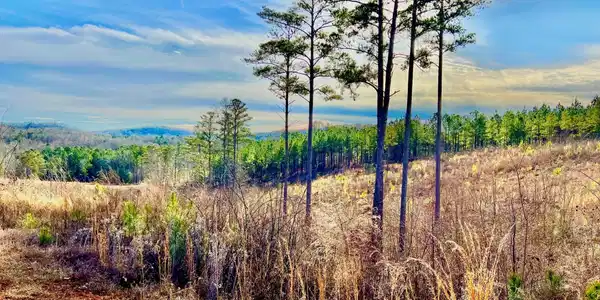 268 Highgrove Drive, Talking Rock GA 30175