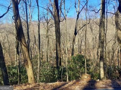 Lot 41 Rebel Circle, Sky Valley GA 30537