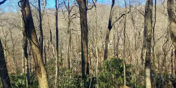 Lot 41 Rebel Circle, Sky Valley GA 30537
