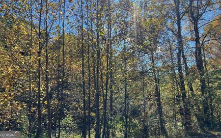 4 AC Tusquittee Road, Hayesville NC 28904