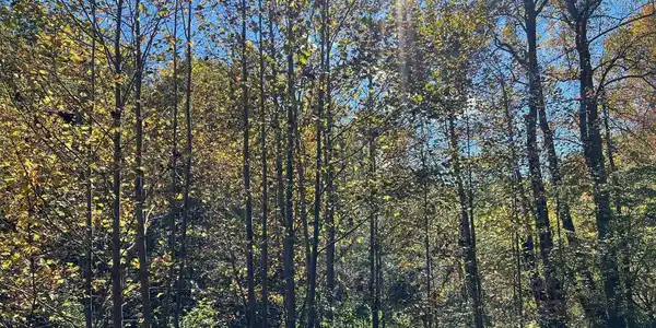 4 AC Tusquittee Road, Hayesville NC 28904