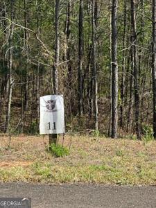 Lot 11 Eastview Trail, Ellijay GA 30536