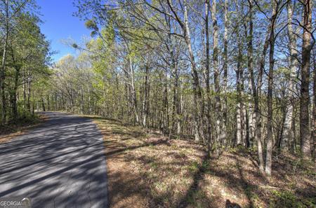 Lot - McKibben Road, Buchanan GA 30113