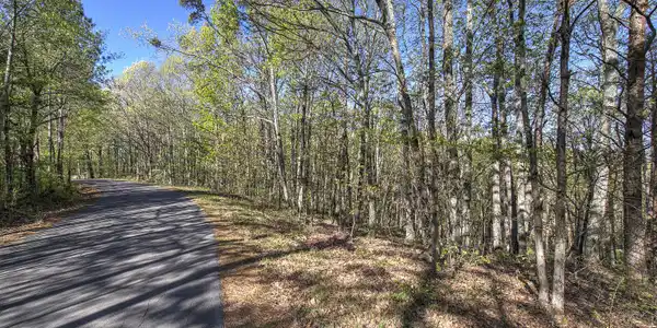Lot - McKibben Road, Buchanan GA 30113