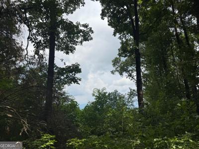 18 ACRES S Pineypur Road S # 24, Ellijay GA 30536