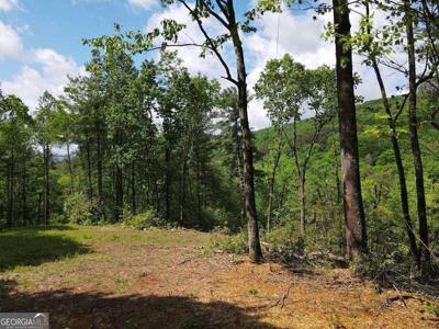9.6 AC Ralston Creek Trail, Ellijay GA 30536