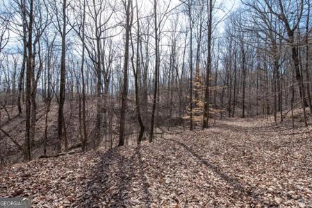 86.99 Acres Mincie Mountain, Murrayville GA 30564