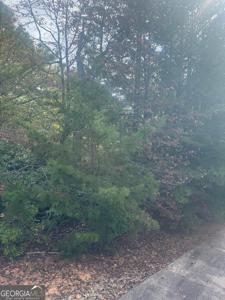 Lot 16 Brown Hawk Drive, Clayton GA 30525