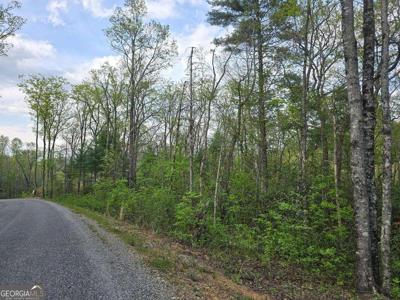 Lot 10 Kennedys Court, Blairsville GA 30512