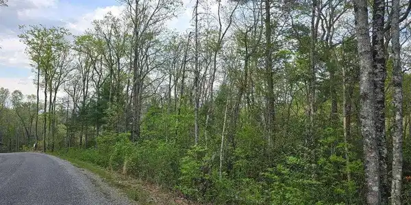 Lot 10 Kennedys Court, Blairsville GA 30512