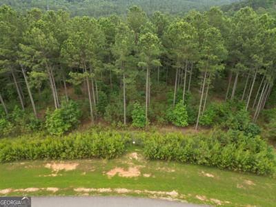 Lot 148 Stables Loop, Blairsville GA 30512