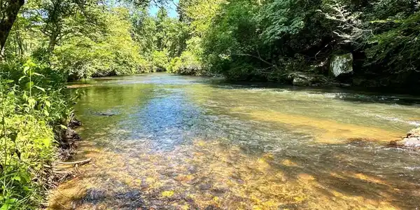 2044 Stillwell Road, Ellijay GA 30540
