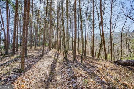 Lot 136/3 Westview Drive, Jasper GA 30143