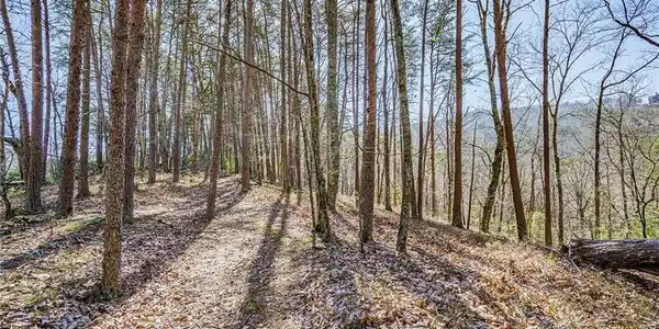 Lot 136/3 Westview Drive, Jasper GA 30143