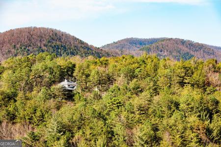 Lot 56208 Rosen Strasse, Helen GA 30545