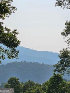 Big Sky Drive, Hiawassee GA 30546