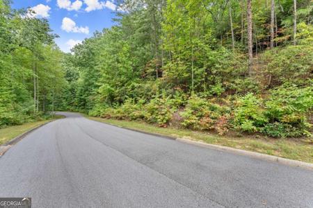 Yates Circle # 358, Clarkesville GA 30523