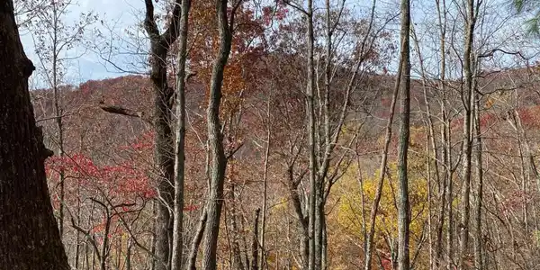 L334 335 Brushy Top Drive # 335, Ellijay GA 30540